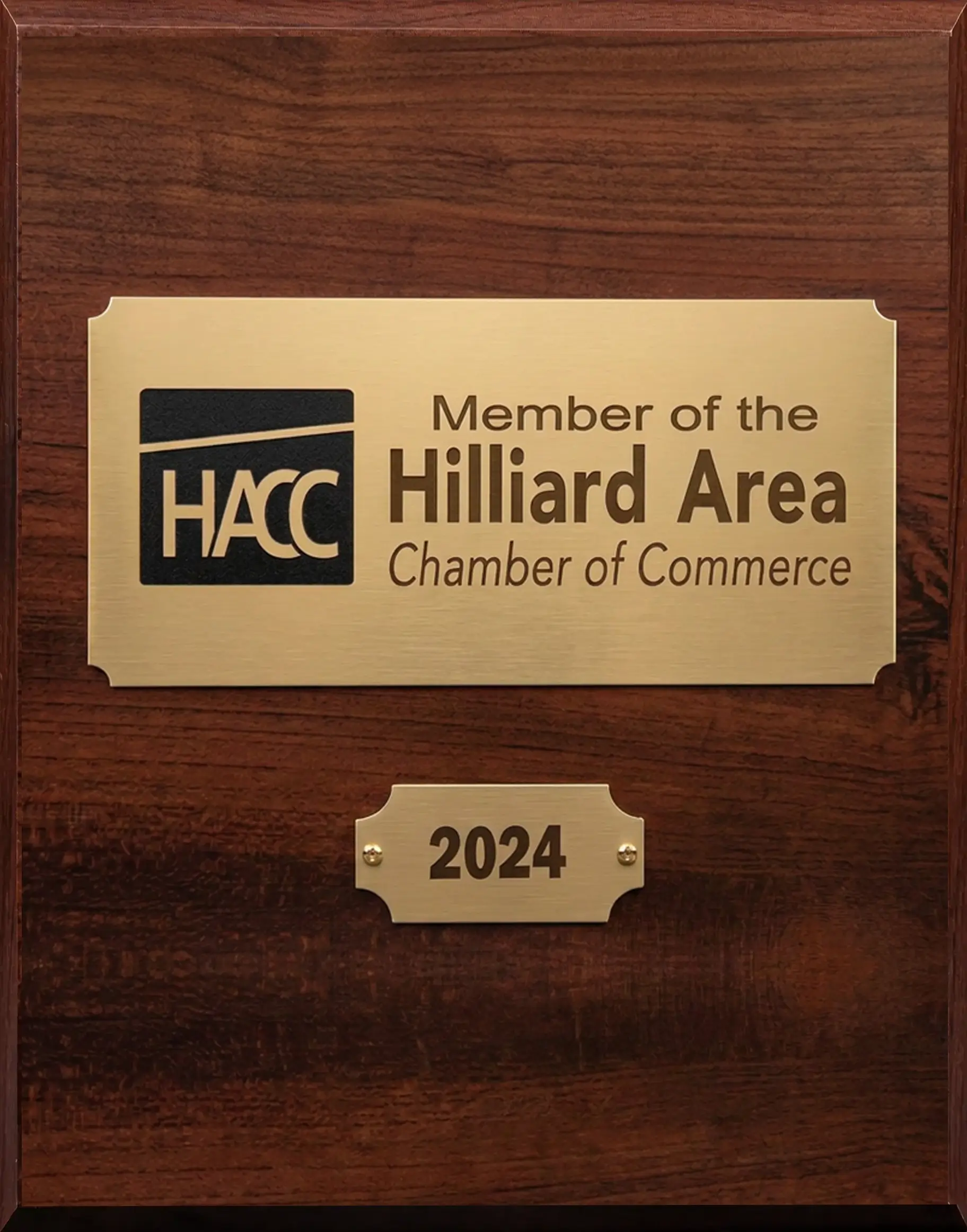 Hilliard Chamber of Commerce TheraFi Counseling
